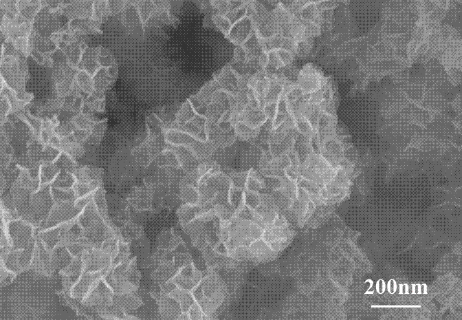 Three-dimensional nanoflower-like Ni-Fe composite hydroxide oxygen evolution anode used for carbonate electrolysis