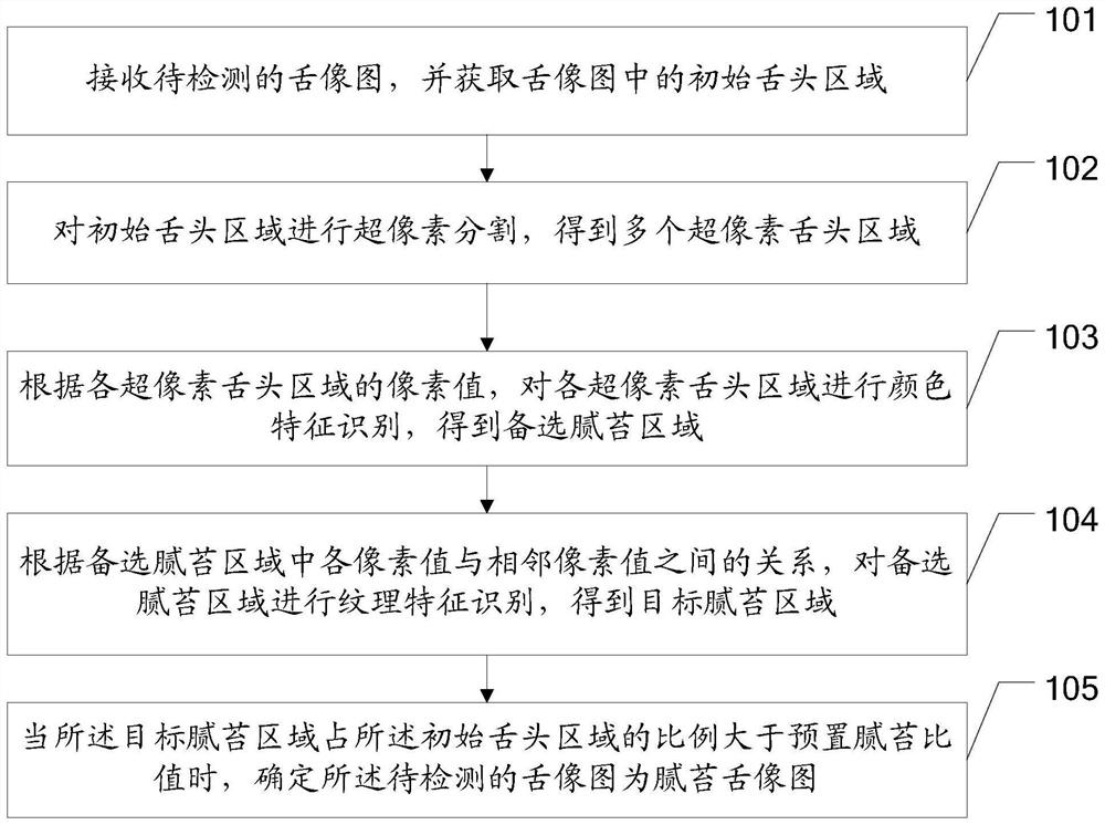 Tongue greasy coating detection method, device and equipment and storage medium