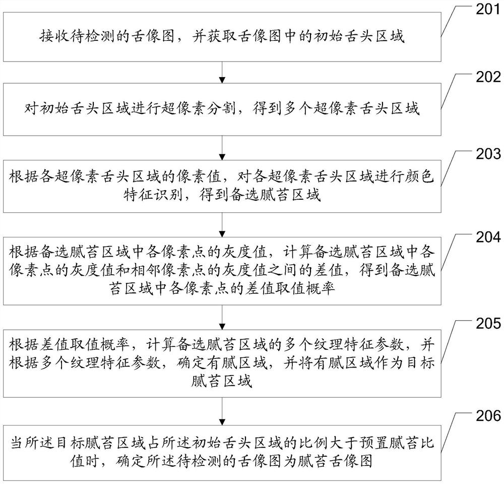 Tongue greasy coating detection method, device and equipment and storage medium