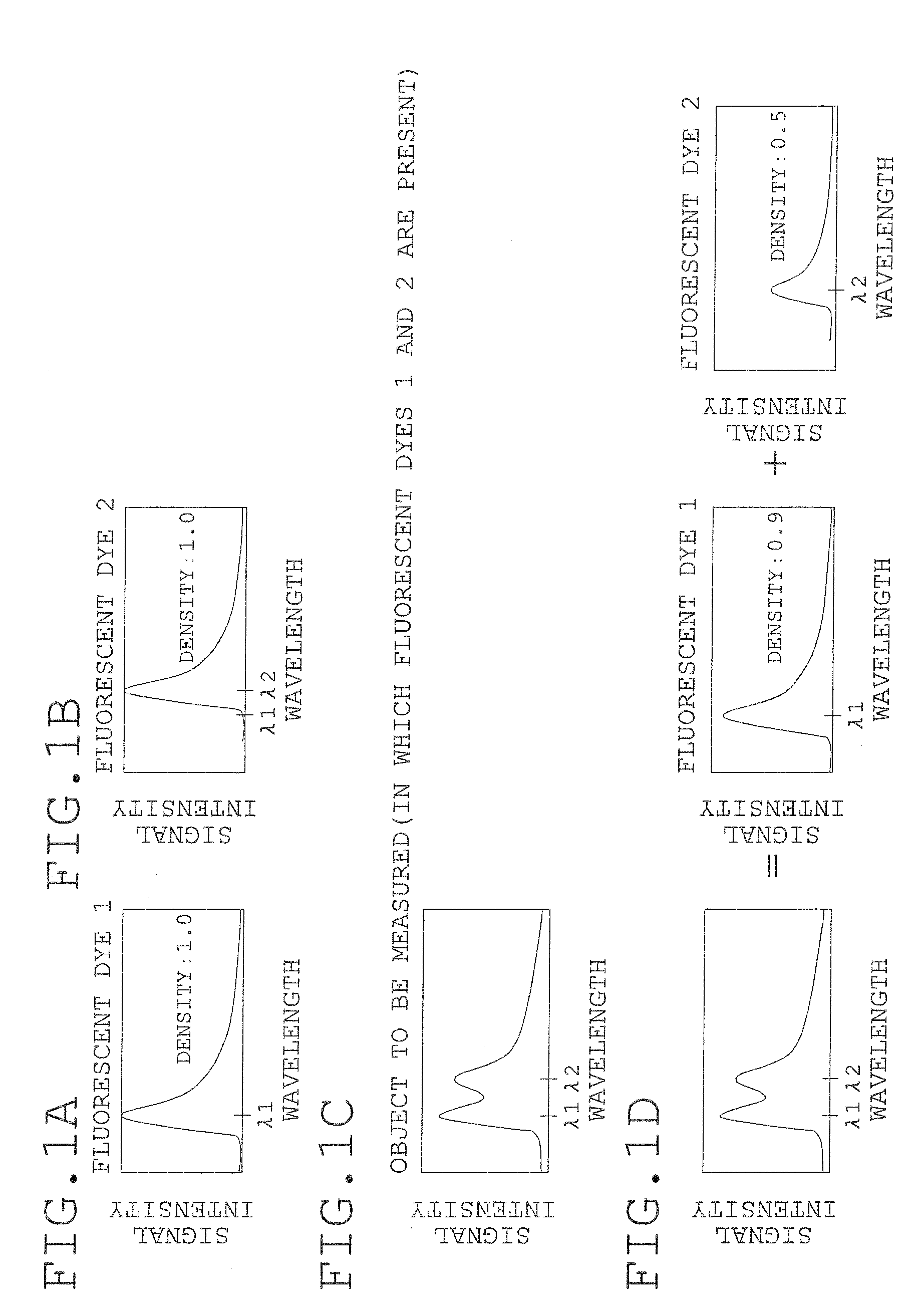 Fluorescence endoscope apparatus