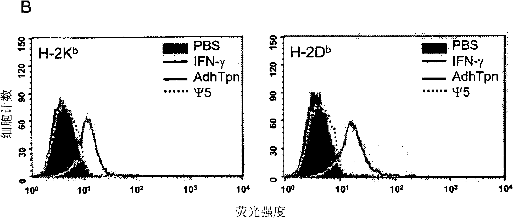 Tapasin augmentation for enhanced immune response