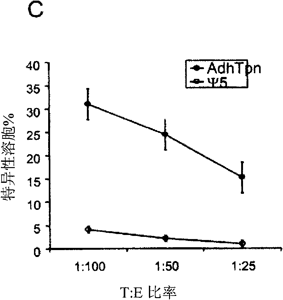 Tapasin augmentation for enhanced immune response