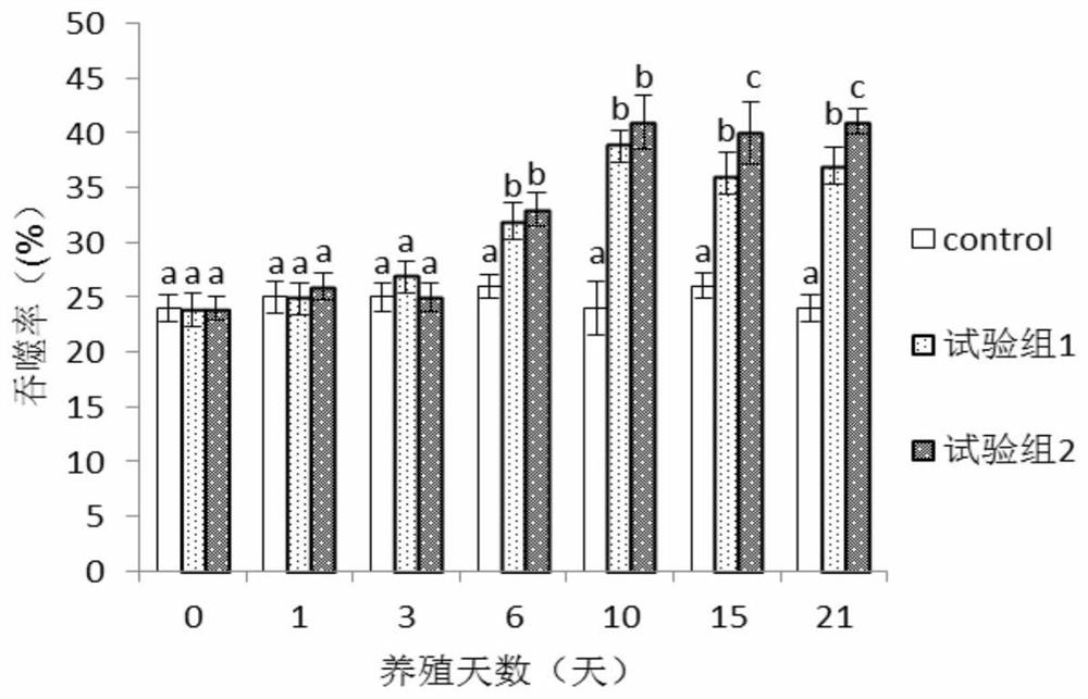 A kind of Chinese herbal medicine preparation and method for shrimp immunity enhancement and sterilization with stable medicinal properties