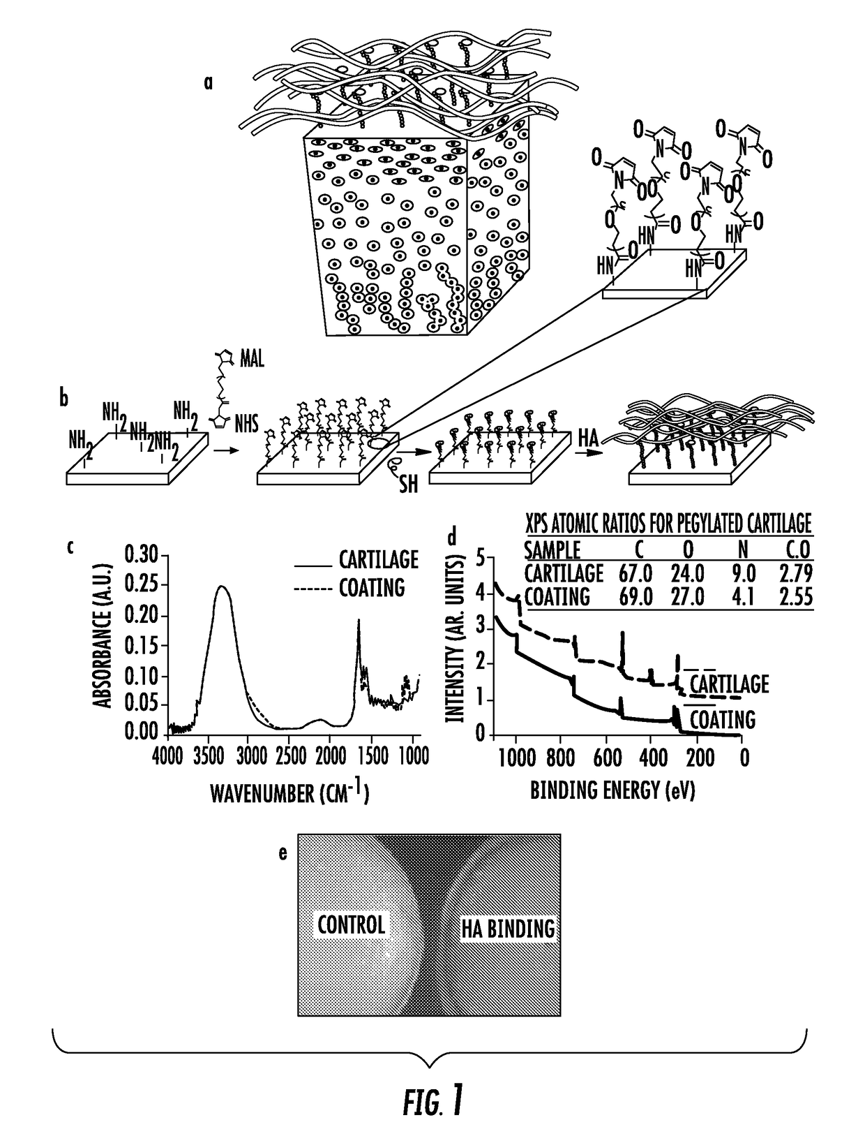 Biomaterials comprising hyaluronic acid binding peptides and extracellular matrix binding peptides for hyaluronic acid retention and tissue engineering applications