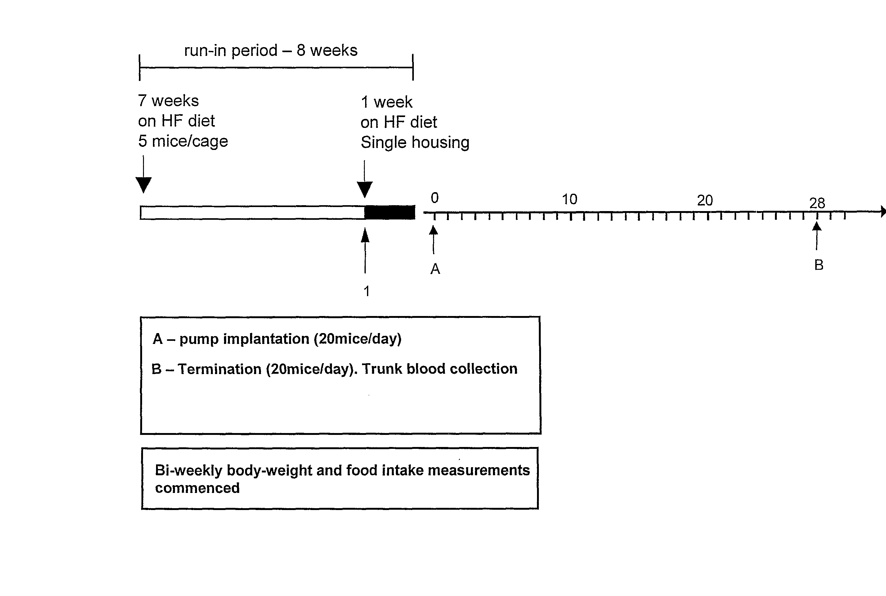 Peptide Yy Analogues