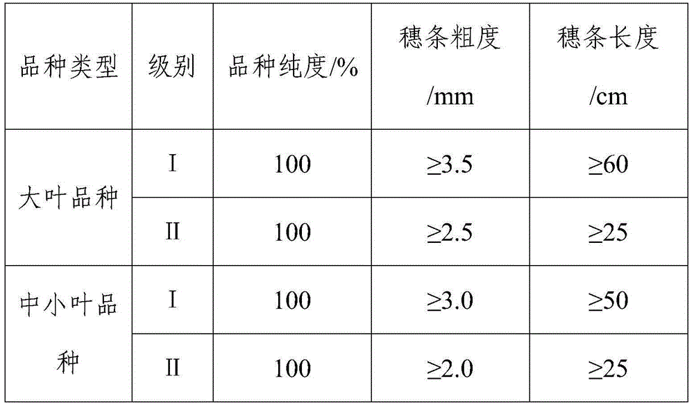 Ancient tea rapid cultivation method