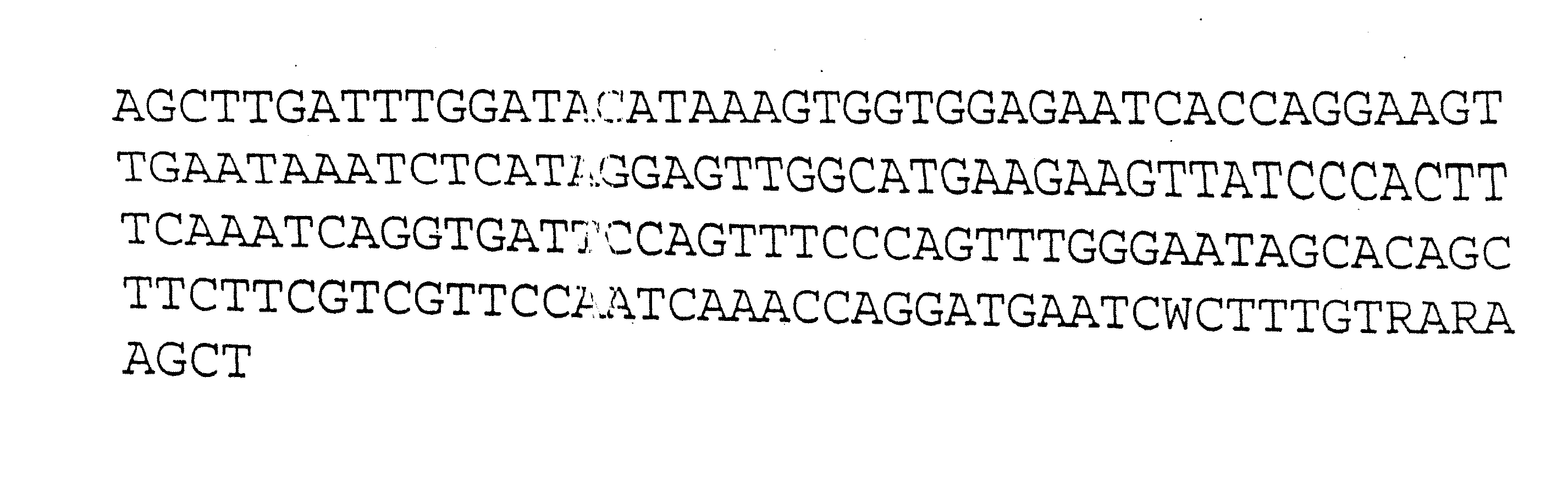 Plant Centromere Compositions