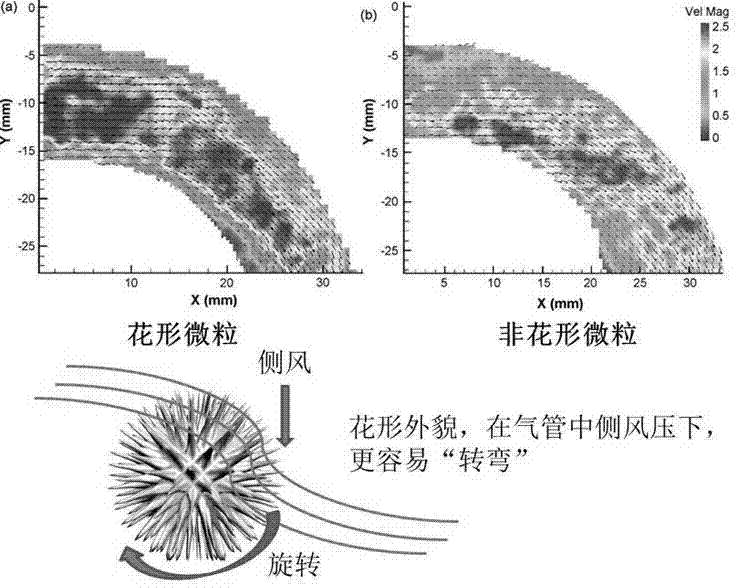 Equipment integration of inhaler for sorting flower-shaped particulate carriers, respiratory tract and lung model