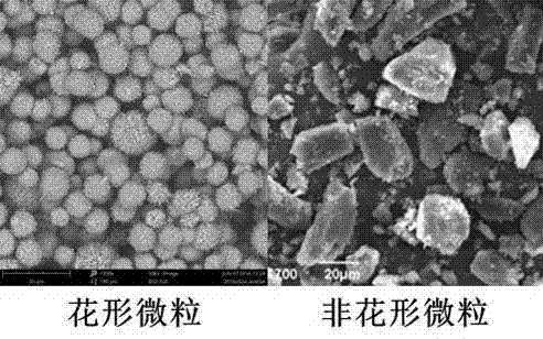 Equipment integration of inhaler for sorting flower-shaped particulate carriers, respiratory tract and lung model