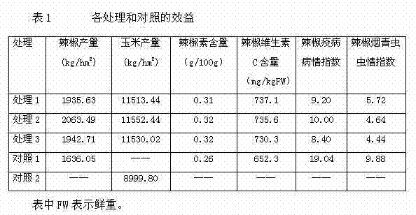 High-yield planting method of interplanting pepper and corn to control diseases and pests