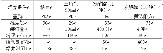 Preparation method and application of special microbial seedling-raising substrate of rice