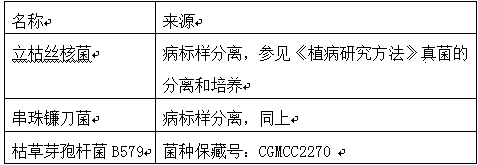 Preparation method and application of special microbial seedling-raising substrate of rice