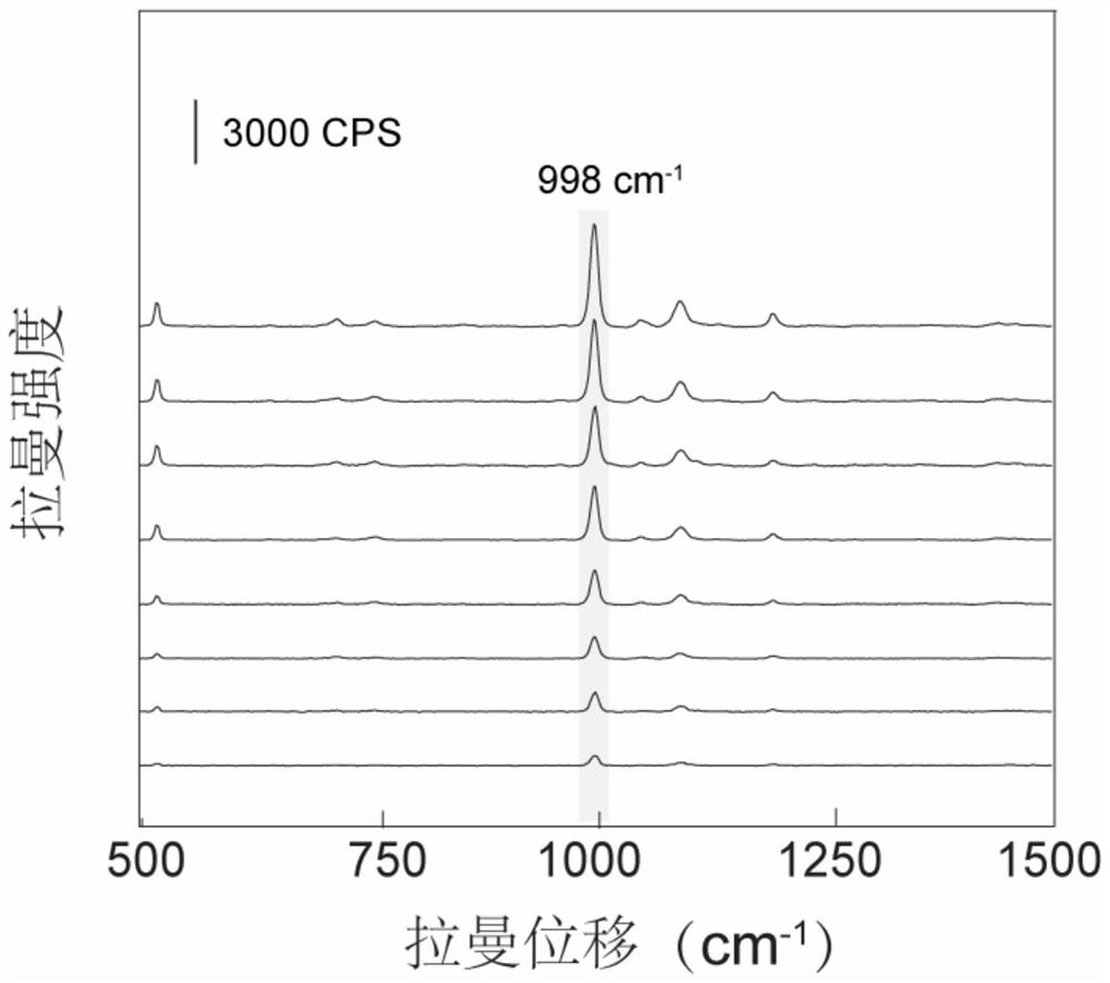 High-throughput sers online detection method for sulfur dioxide in wine