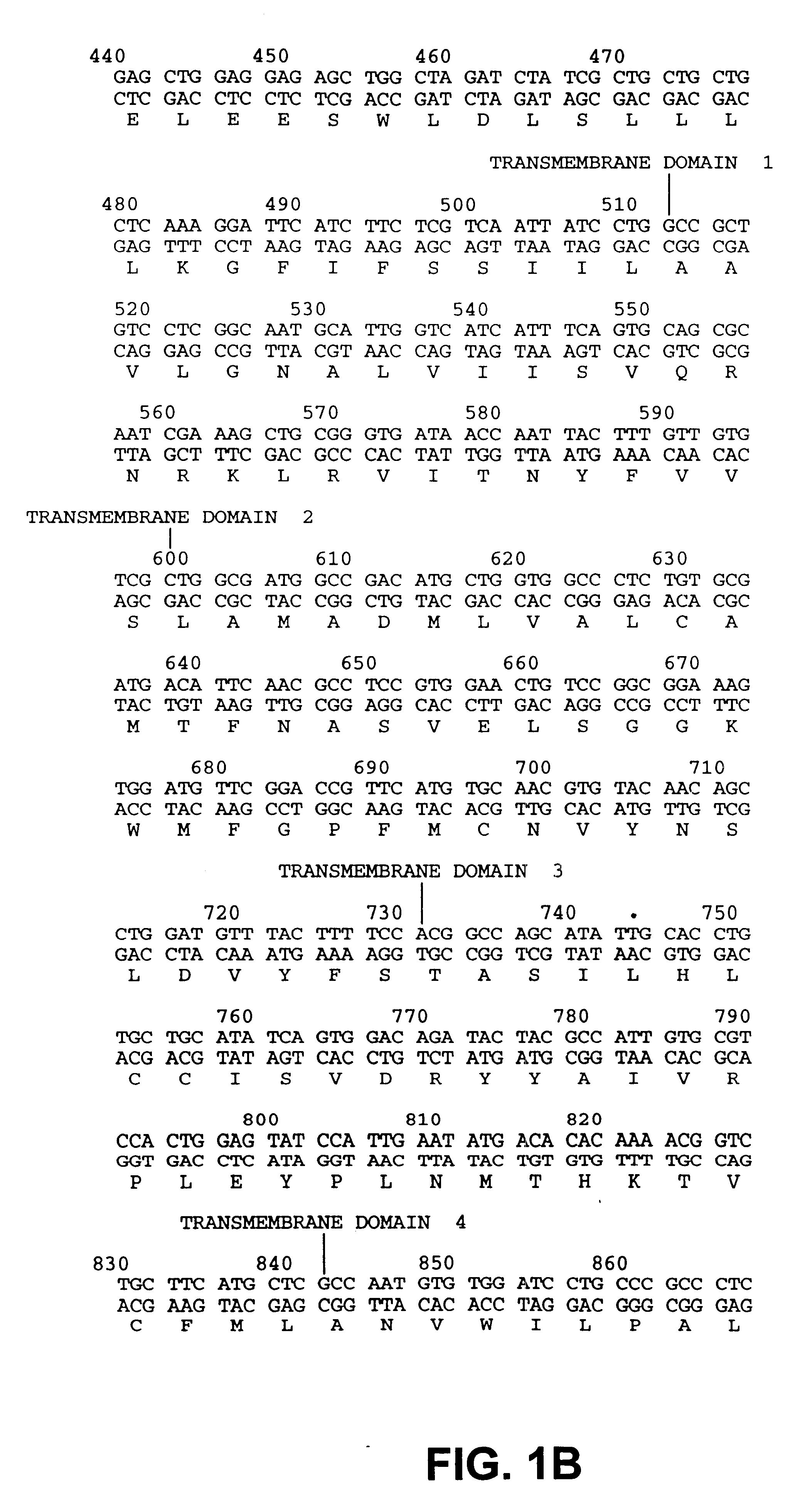 Drosophila sequences