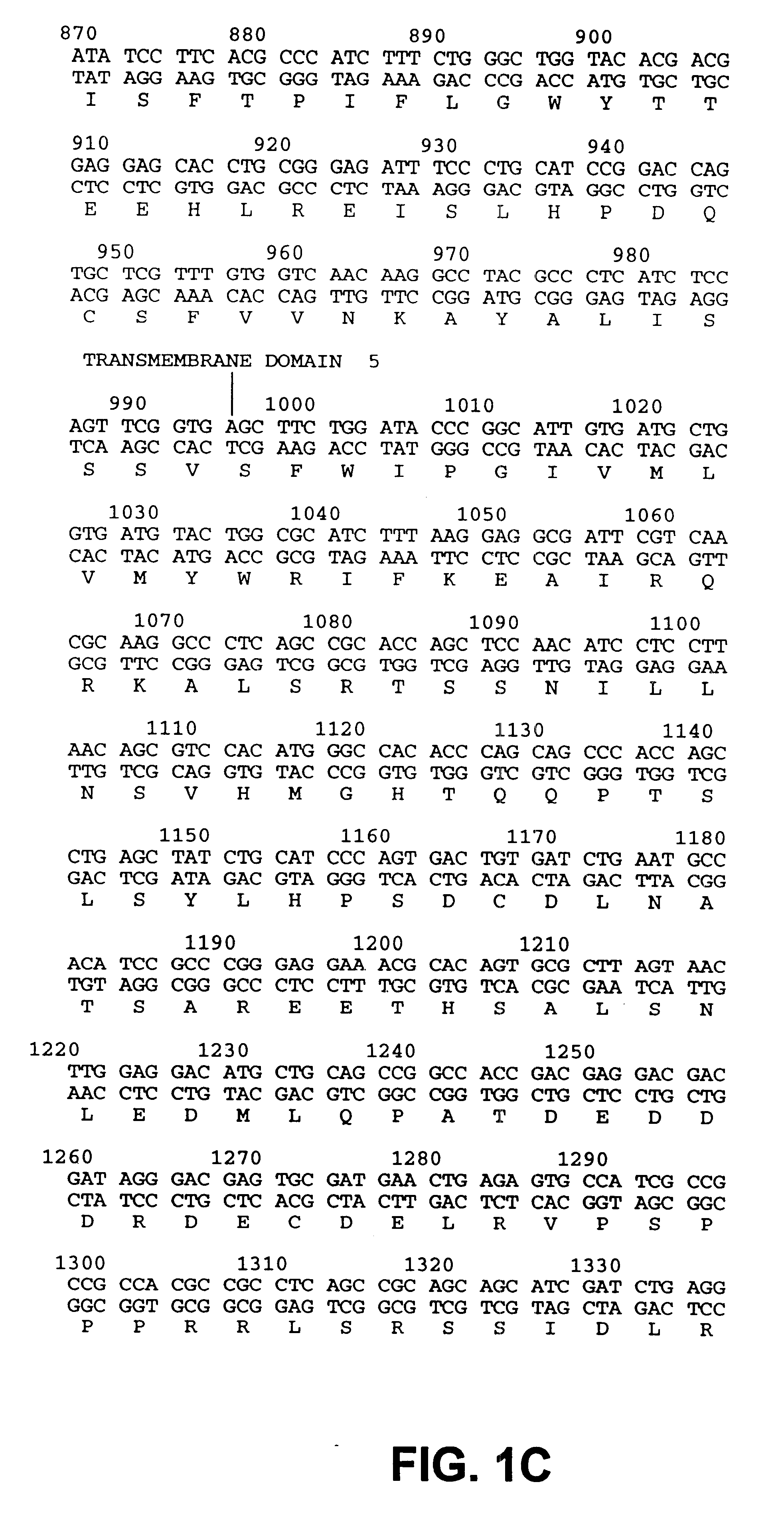 Drosophila sequences