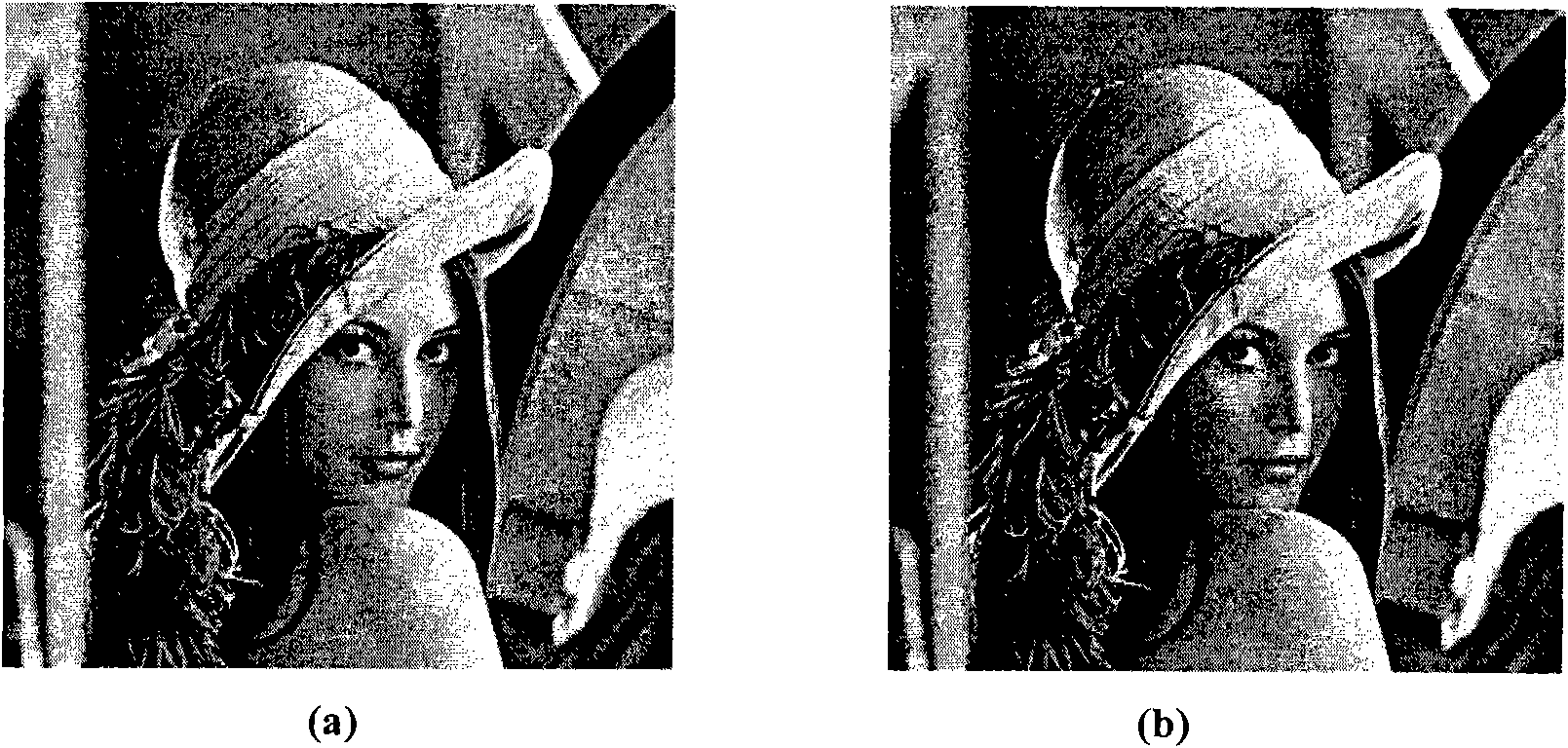 Blind hidden information detection method based on analysis of image gray run-length histogram