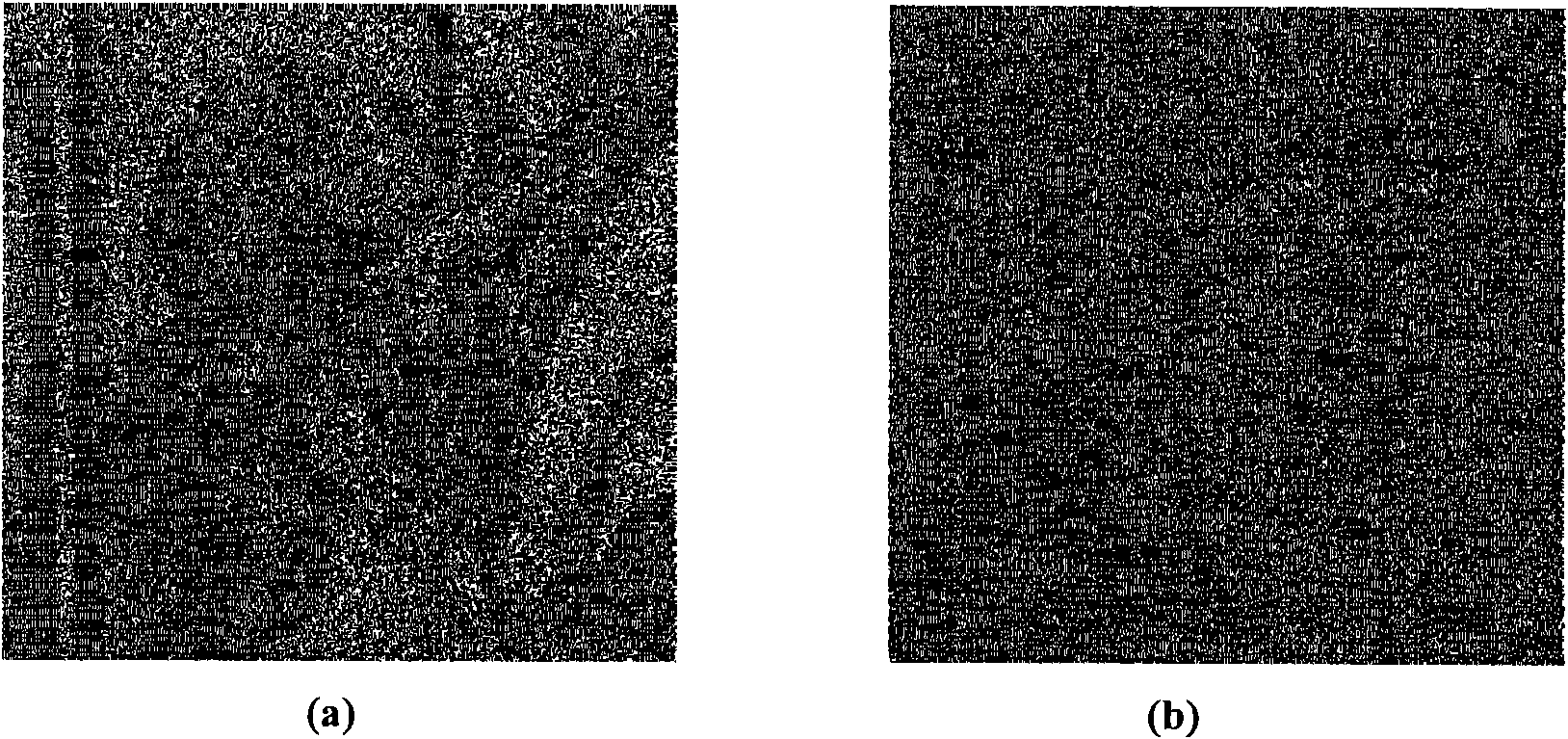 Blind hidden information detection method based on analysis of image gray run-length histogram