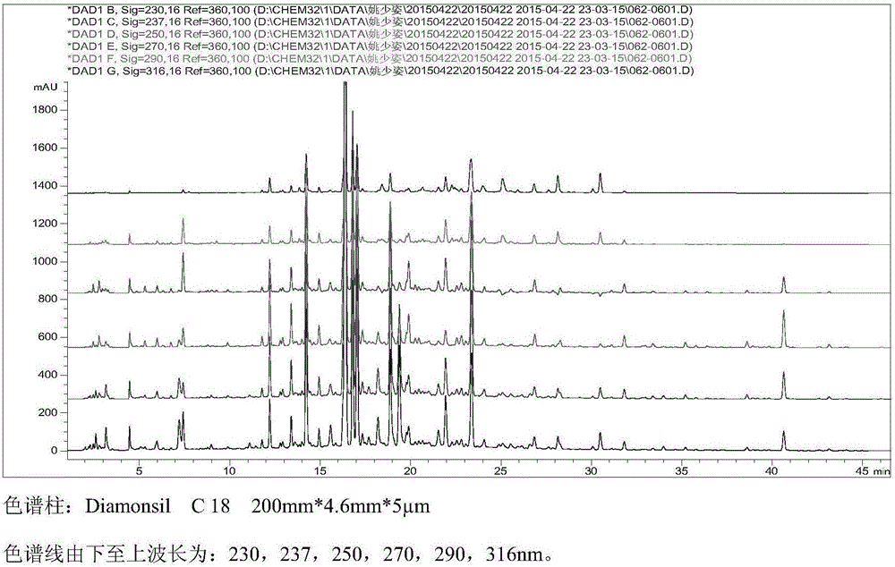 Method for establishing fingerprint of rhizoma cimicifugae radix puerariae decoction composition and fingerprint