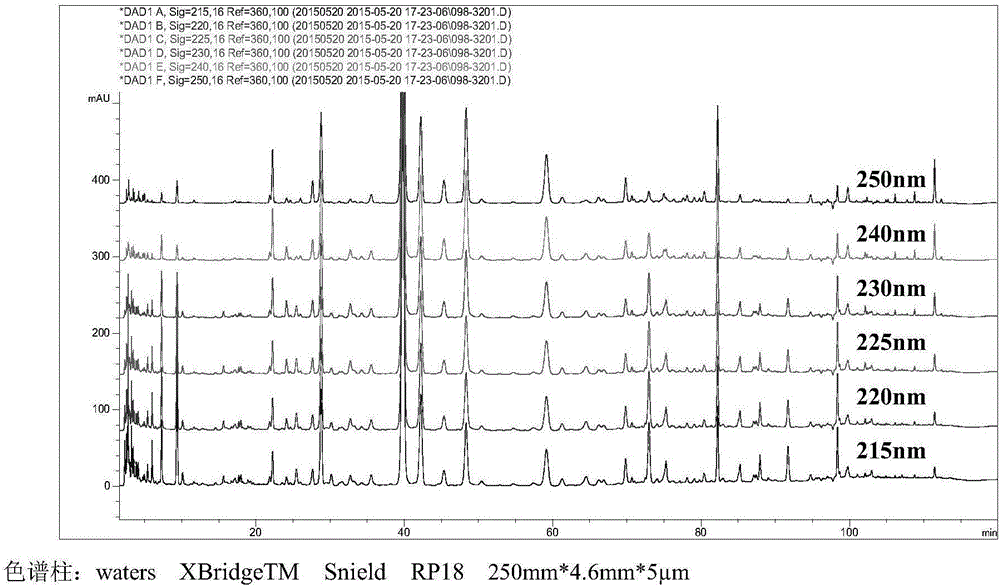 Method for establishing fingerprint of rhizoma cimicifugae radix puerariae decoction composition and fingerprint