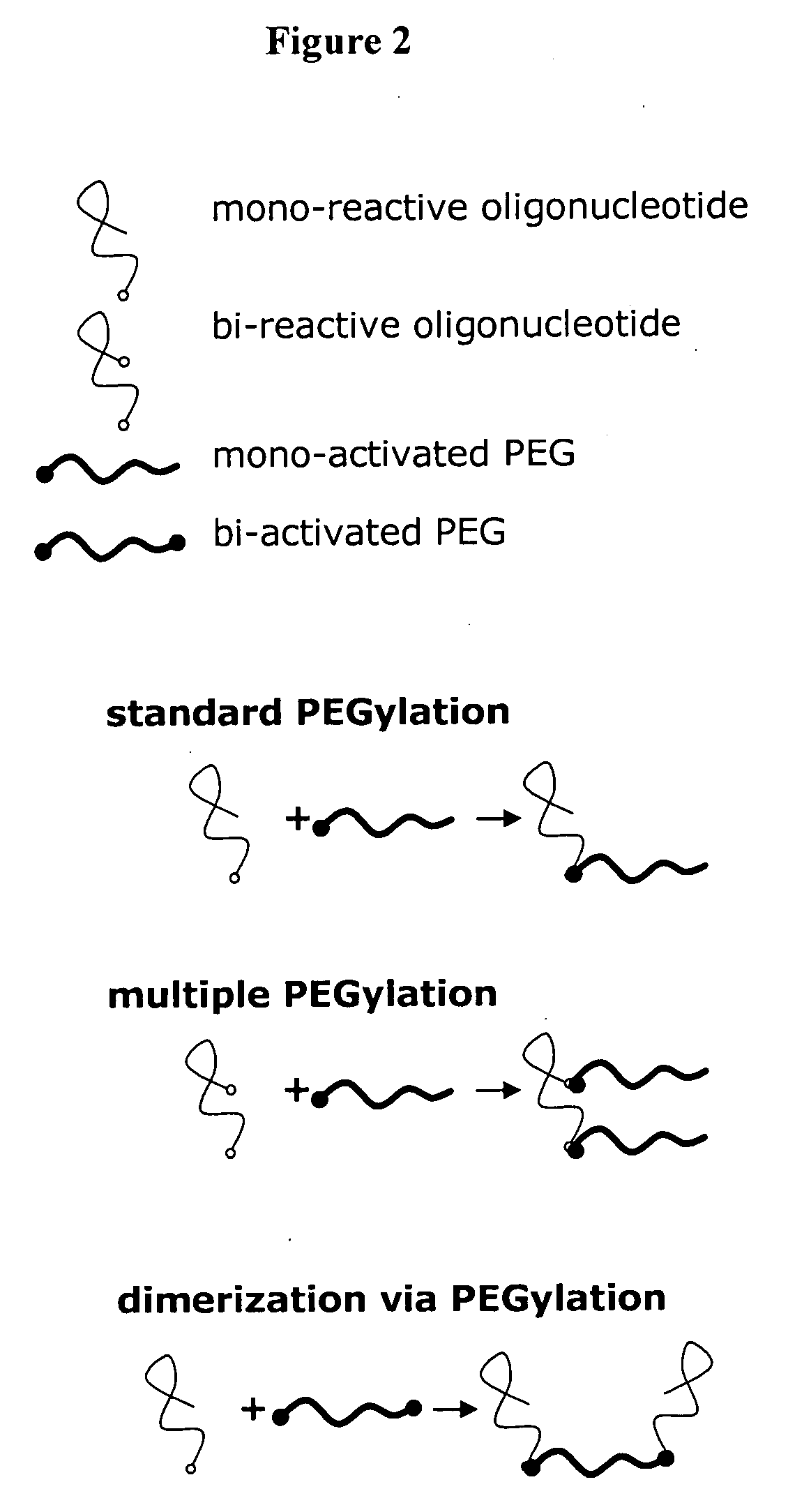 Aptamer-mediated intracellular delivery of oligonucleotides