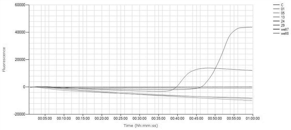 Primers and kit for detecting mycoplasma pneumoniae