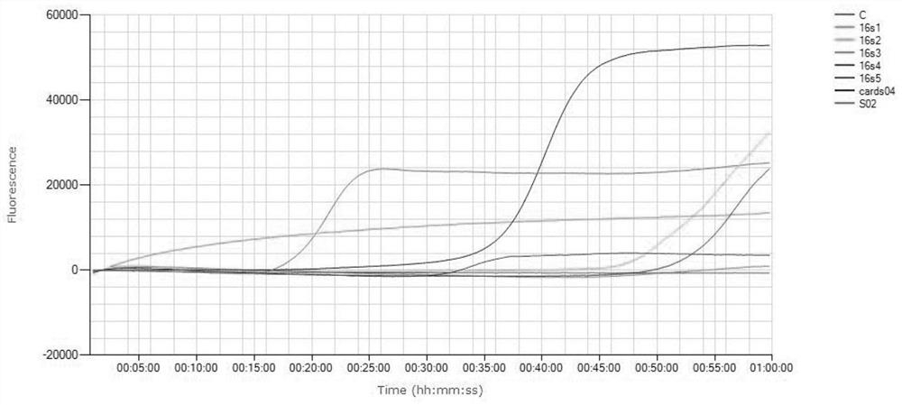 Primers and kit for detecting mycoplasma pneumoniae