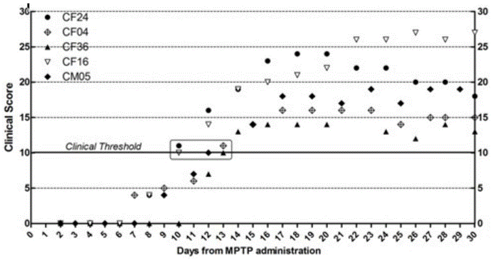 Method for establishing monkey systematic Parkinson's disease model