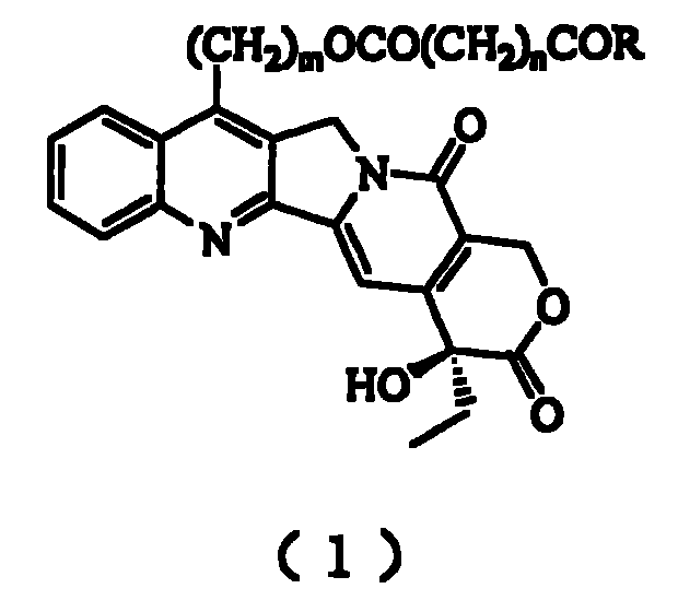 20(S) camptotheca alkaloid derivatives, their preparing methods and uses