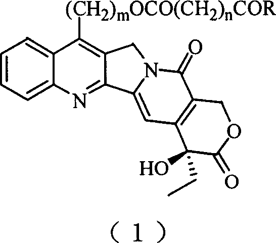 20(S) camptotheca alkaloid derivatives, their preparing methods and uses