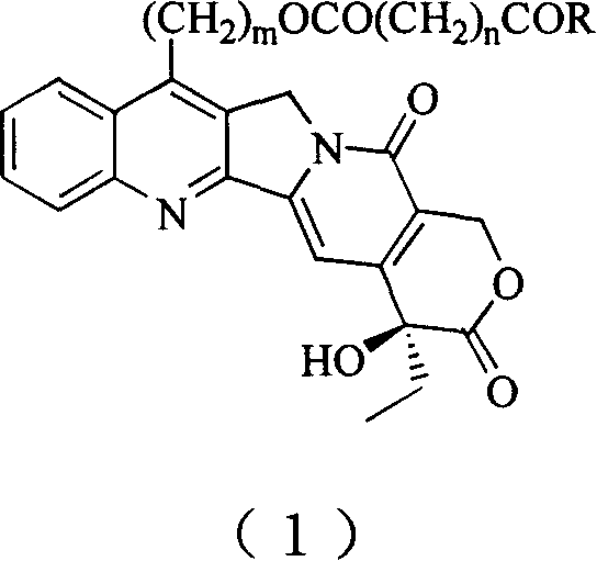 20(S) camptotheca alkaloid derivatives, their preparing methods and uses