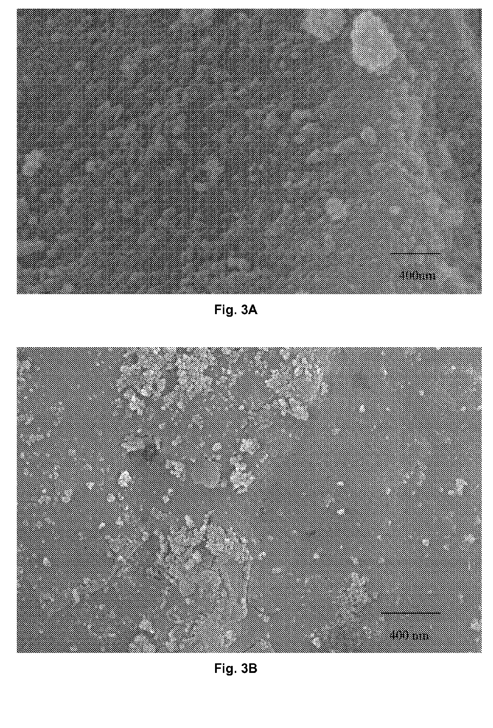 Method for the dry dispersion of nanoparticles and the production of hierarchical structures and coatings