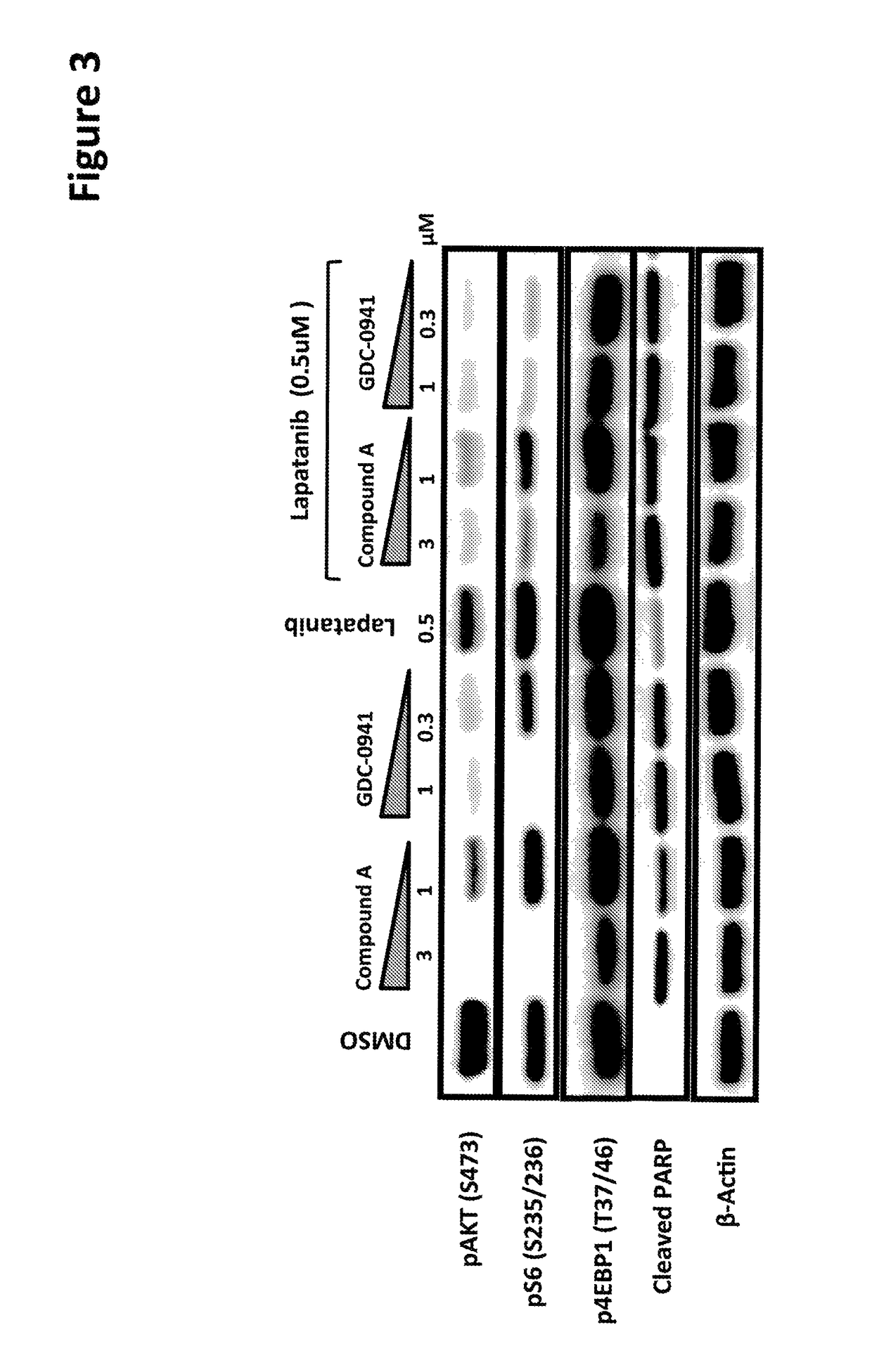 Combination of kinase inhibitors and uses thereof