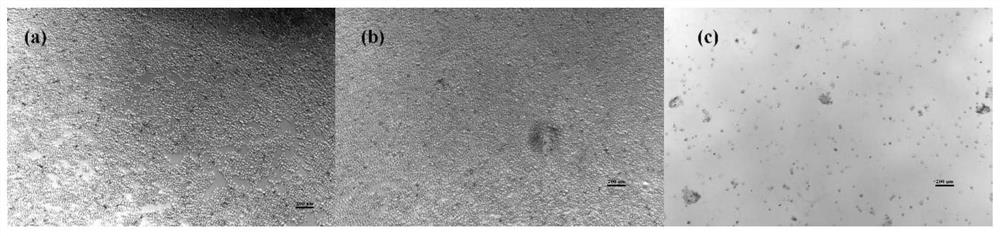 Tri-cation quaternary ammonium salt antibacterial peptide simulant with antibacterial activity and preparation method thereof