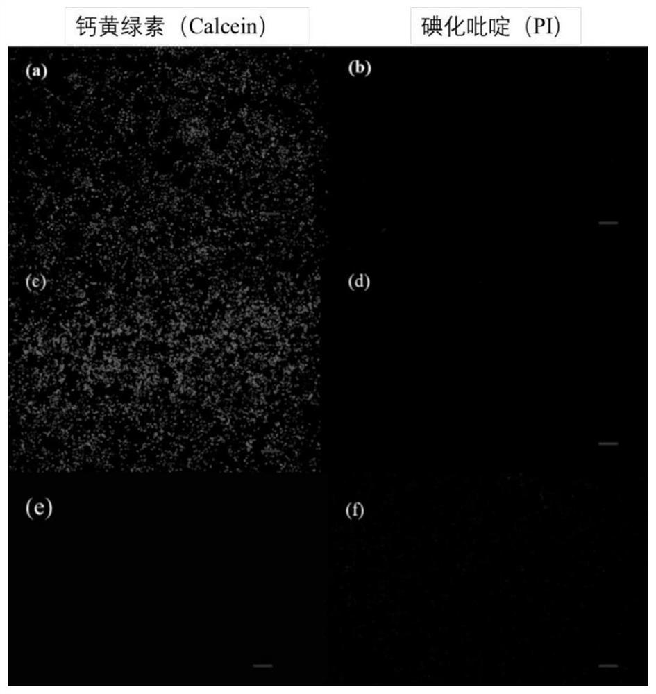 Tri-cation quaternary ammonium salt antibacterial peptide simulant with antibacterial activity and preparation method thereof