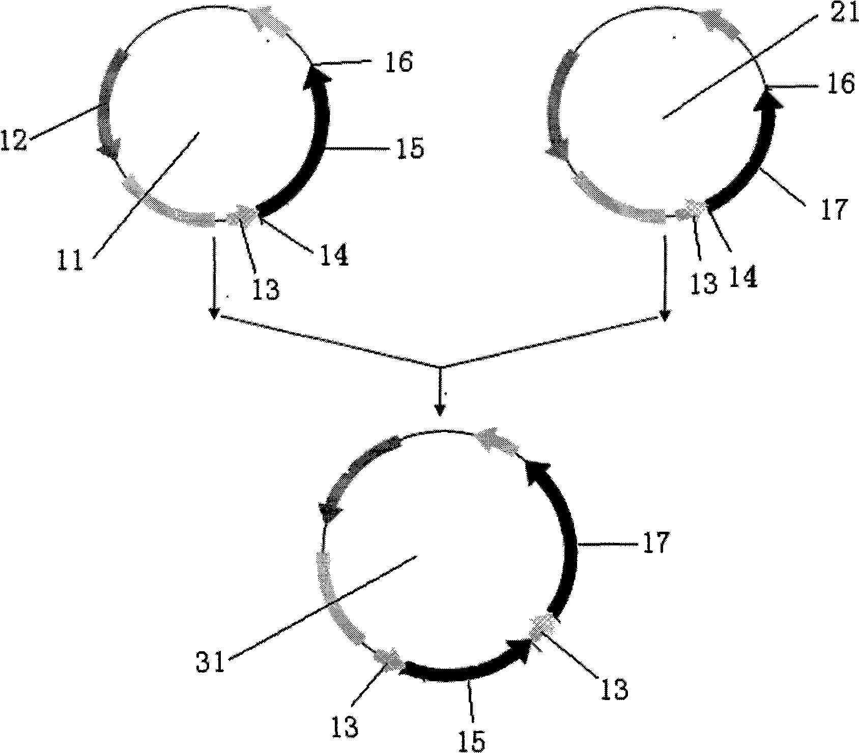 Recombinant plasmid and construction method thereof