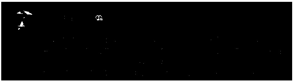 Vocabulary social network analysis method based on social networking principle