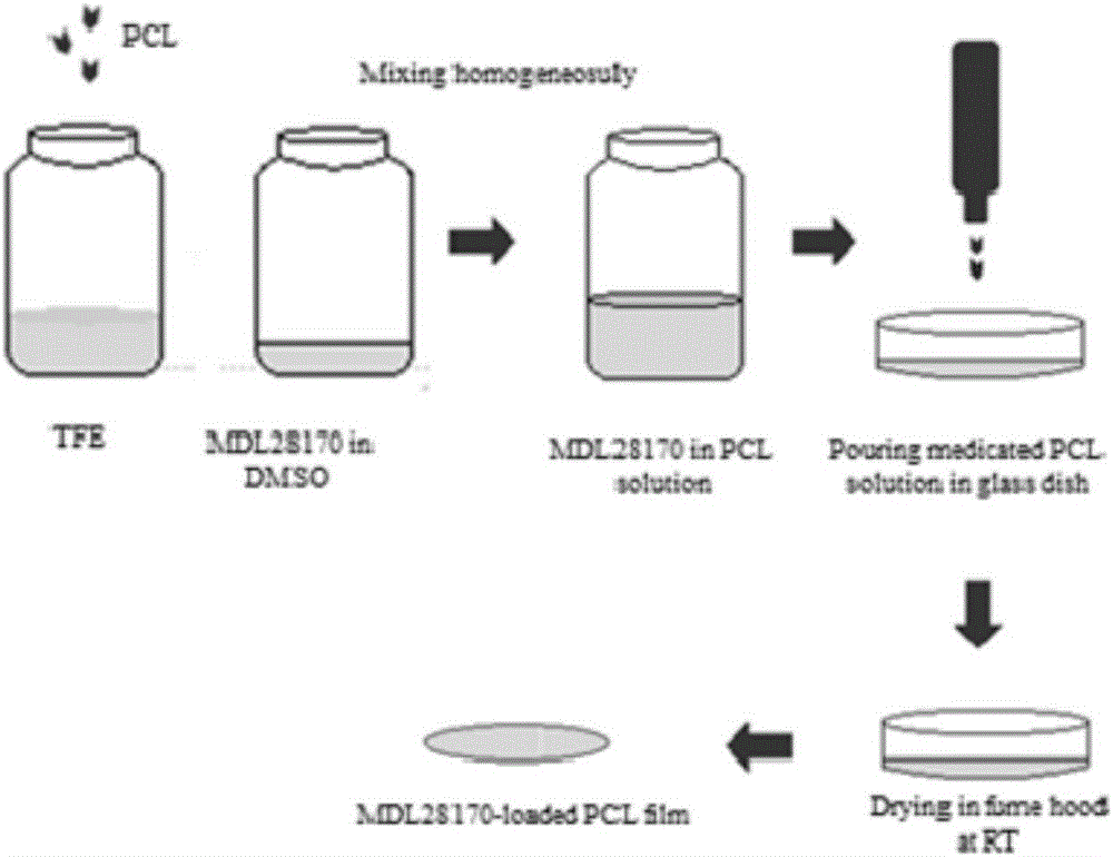 Calpain inhibitor MDL28170 locally-applied sustained-release membrane capable of promoting repairing of injured spinal cord as well as preparation method and applications of calpain inhibitor MDL28170 locally-applied sustained-release membrane