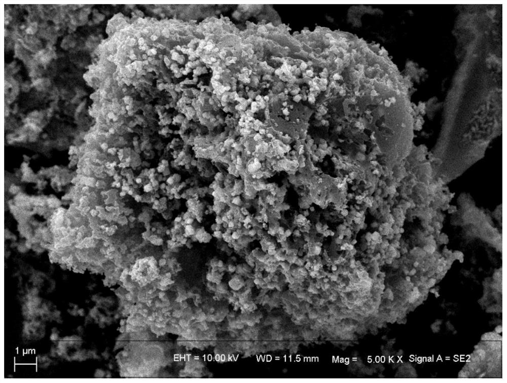 Preparation and application of magnetic microbial carbon-supported cerium and cobalt composite nano-ozone catalyst