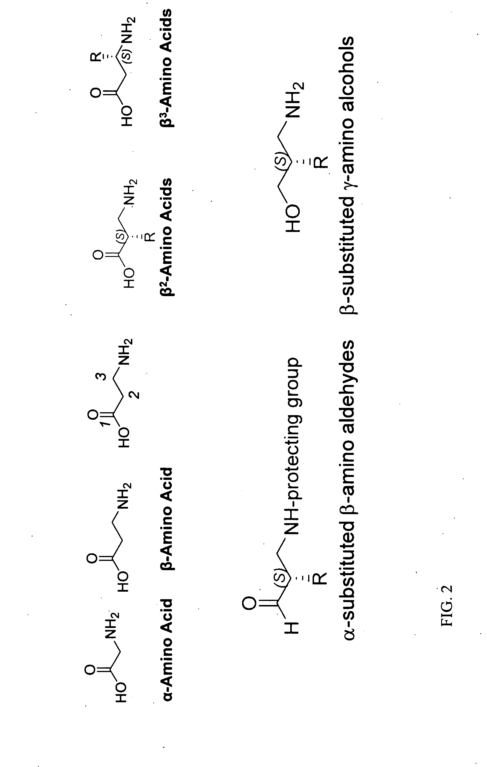 Concise beta2-amino acid synthesis via organocatalytic aminomethylation