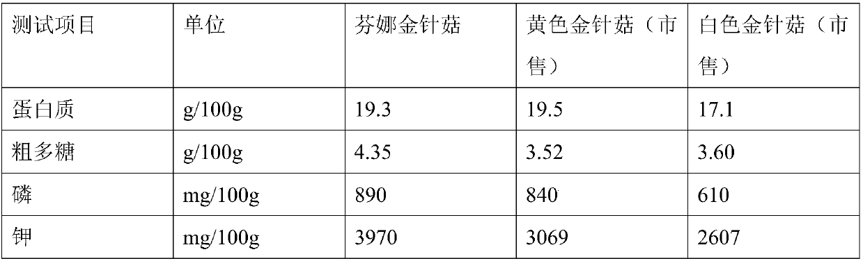 A kind of Fenna Flammulina velutipes strain and its cultivation method