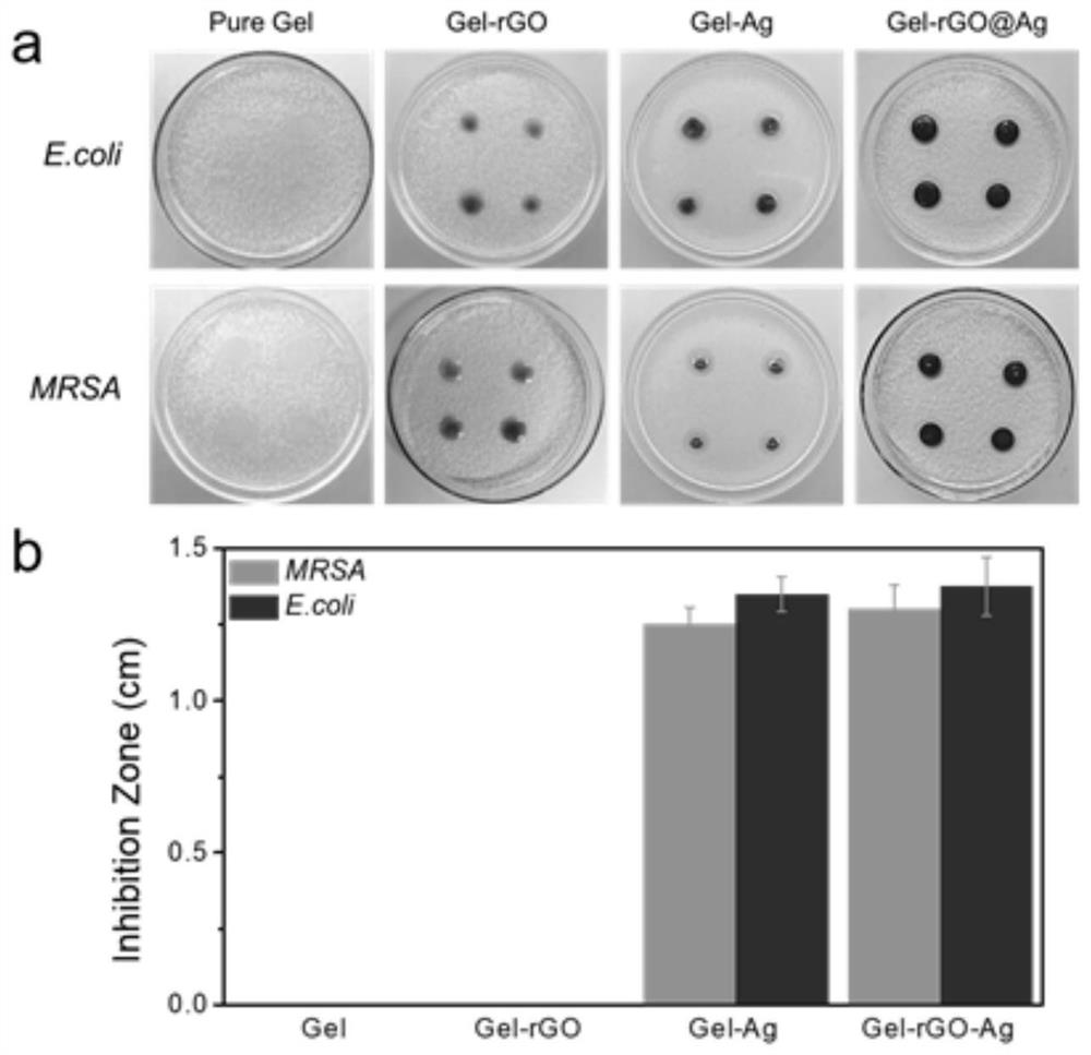 Preparation method and application of a heat-induced irreversible composite hydrogel with antibacterial and wound healing functions