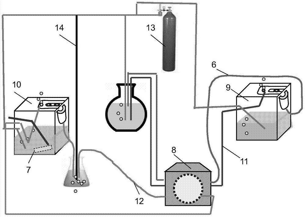 In vivo brain slice nerve network oscillation recording system and recording method thereof