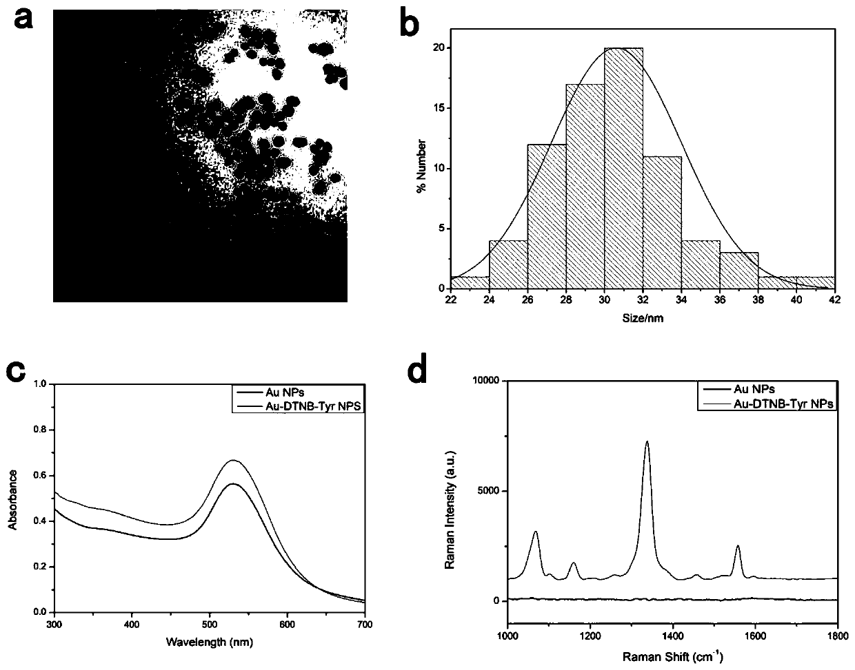 Raman immune detection method based on novel SERS probe