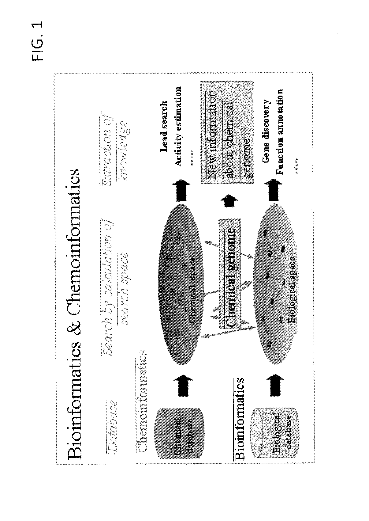 Estimation of protein-compound interaction and rational design of compound library based on chemical genomic information