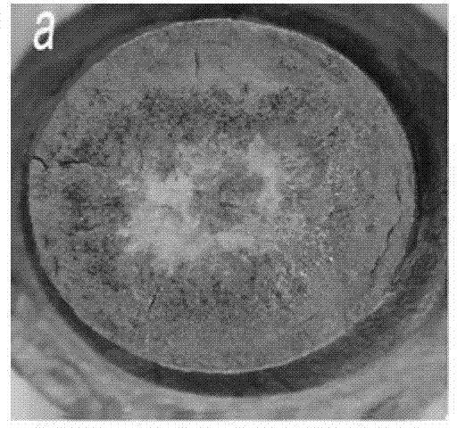 Method for producing single domain yttrium barium copper oxide superconduction block