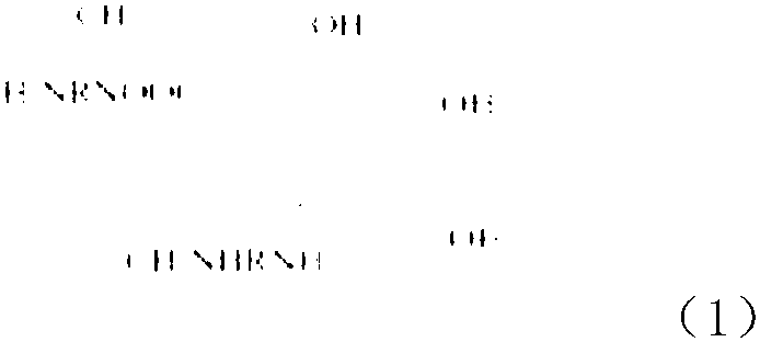 Rust-containing coating curing agent and preparation method thereof