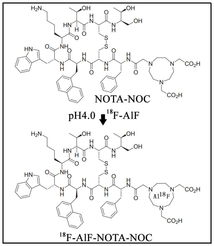 18f-labeled amino acid polypeptide drug synthesis method and kit