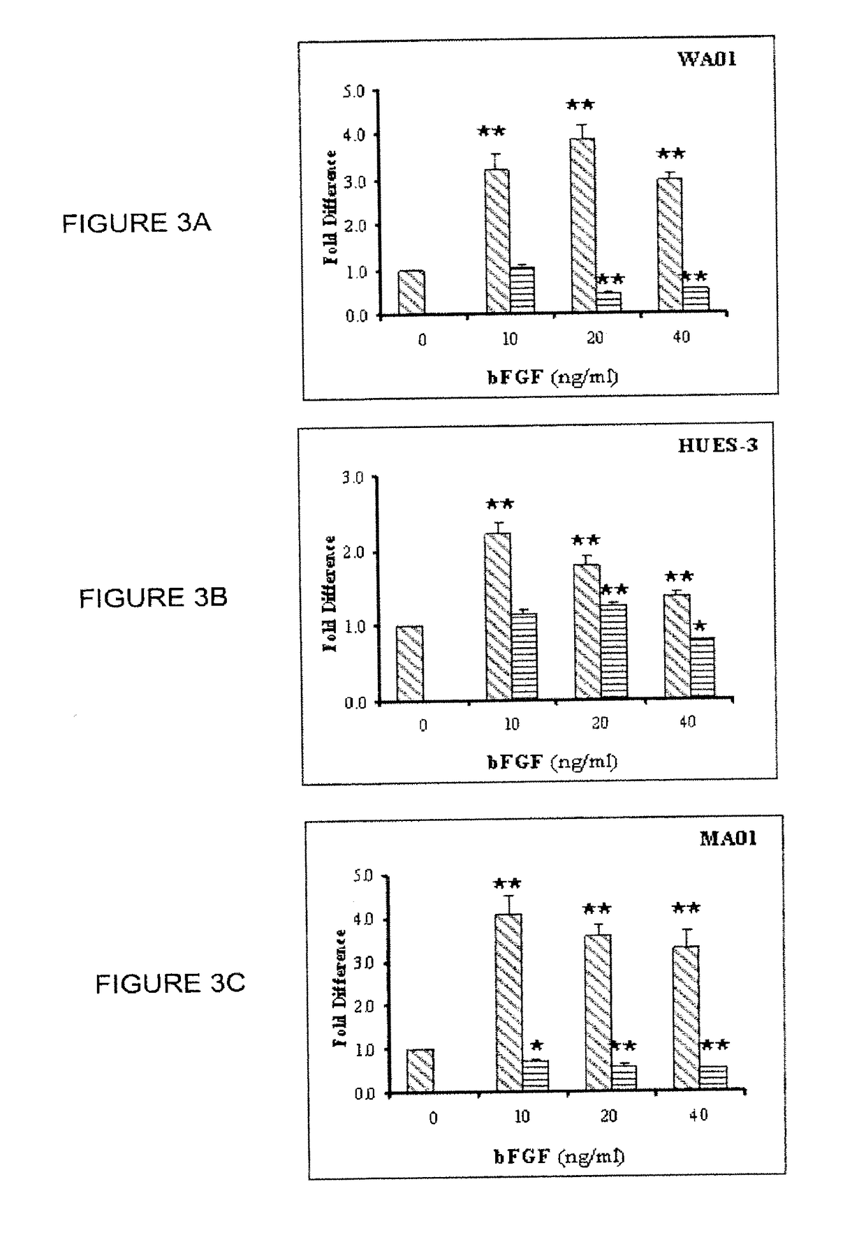 Hemangio colony forming cells and non-engrafting hemangio cells