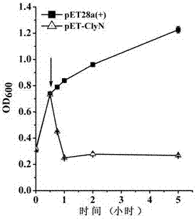 A kind of lyase and application thereof for internally lysing Escherichia coli