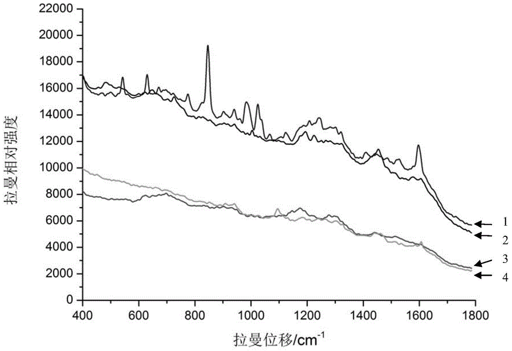 Surface enhanced Raman spectra substrate for detecting avian influenza virus, and application thereof